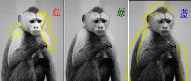 ‘photoshop一图多解找出抠取毛发的最佳方法‘