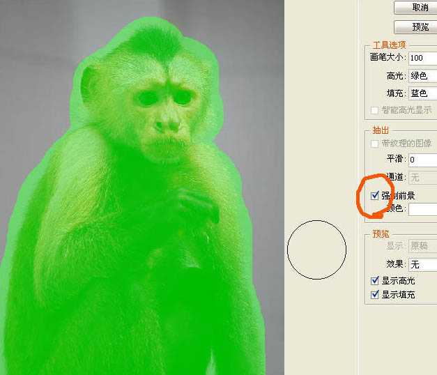 ‘photoshop一图多解找出抠取毛发的最佳方法‘