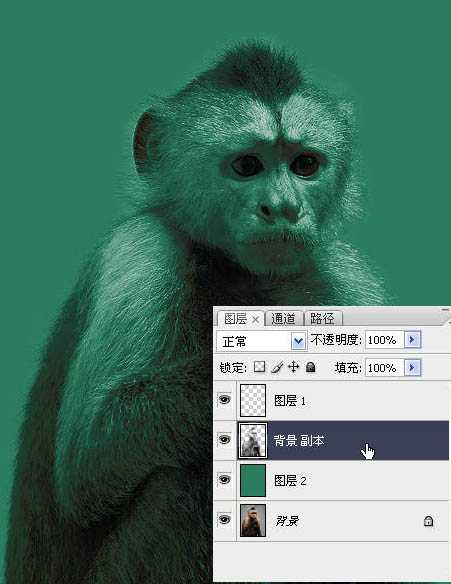 ‘photoshop一图多解找出抠取毛发的最佳方法‘