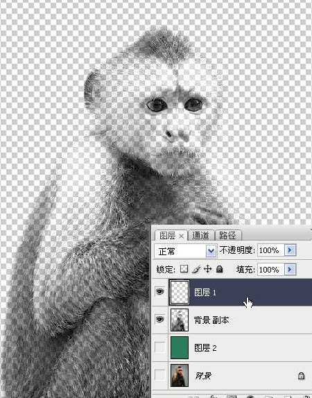 ‘photoshop一图多解找出抠取毛发的最佳方法‘