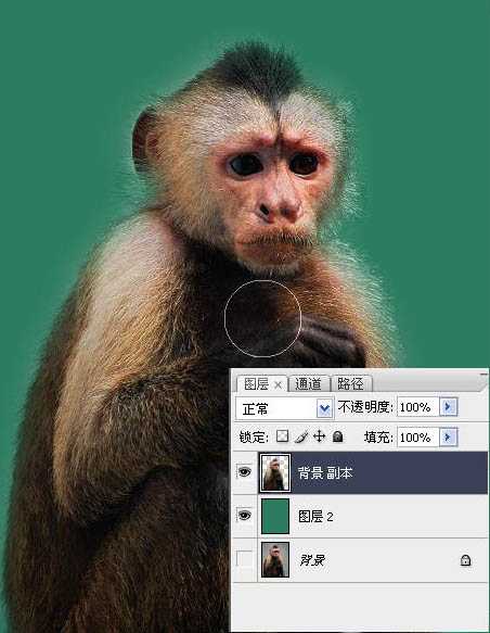 ‘photoshop一图多解找出抠取毛发的最佳方法‘