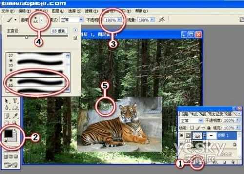 Photoshop图片合成实例：自然界中的老虎_脚本之家jb51.net整理转载