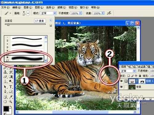 Photoshop图片合成实例：自然界中的老虎_脚本之家jb51.net整理转载