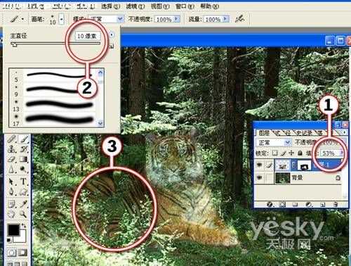 Photoshop图片合成实例：自然界中的老虎_脚本之家jb51.net整理转载