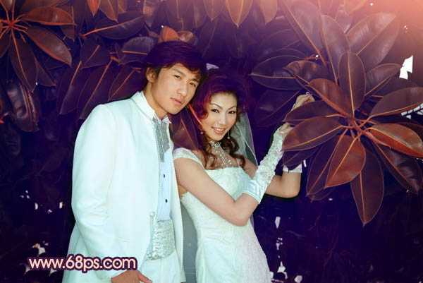‘Photoshop将树林婚片调制出柔美的暗调紫褐色效果‘