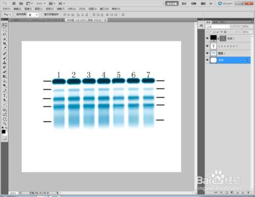 ‘Photoshop标示sds-page电泳图Maker图文教程‘