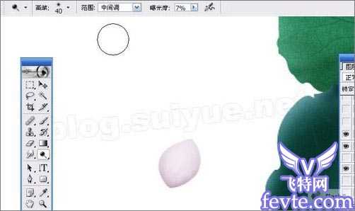 ‘Photoshop鼠绘教程：绘制一副水墨映日荷花图‘