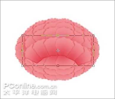 用Photoshop鼠绘一支康乃馨