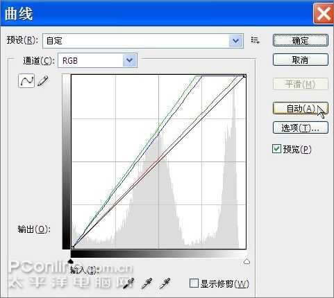 用Photoshop鼠绘一支康乃馨