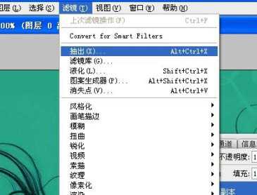 ‘photoshop利用抽出滤镜抠出背景单色发丝较多的人物图片‘