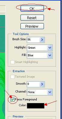 ‘photoshop利用抽出滤镜抠出背景单色发丝较多的人物图片‘