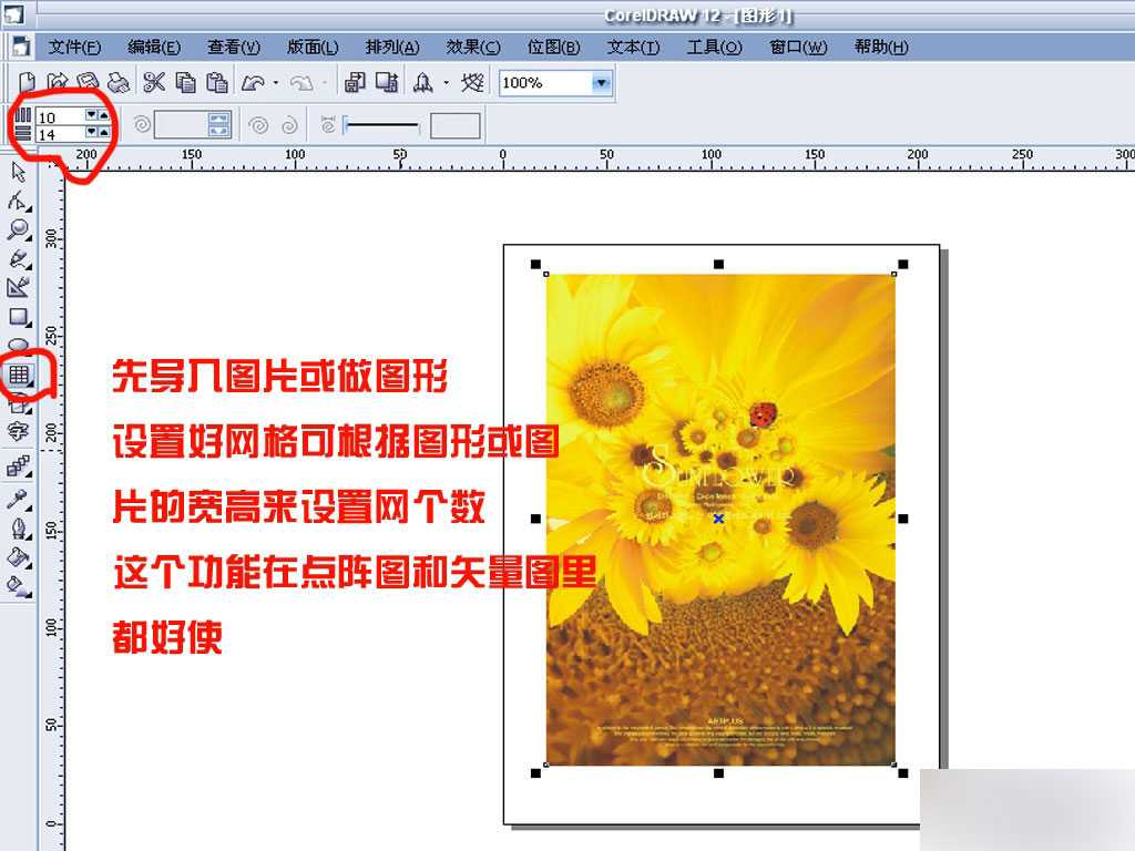 cdr任意拆分图片或矢量图形 脚本之家 cdr使用技巧