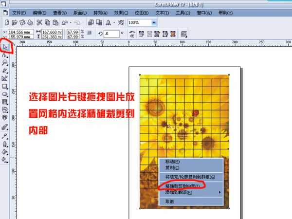 cdr任意拆分图片或矢量图形 脚本之家 cdr使用技巧