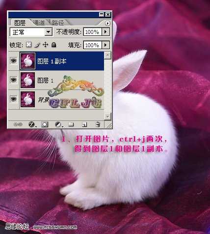 ‘ps利用滤镜抠出毛茸茸的小白兔‘