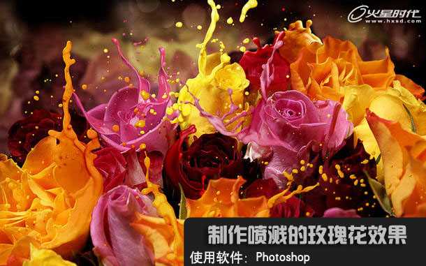 ‘photoshop合成液滴飞溅的新鲜玫瑰花‘