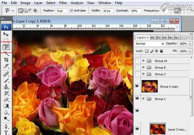 ‘photoshop合成液滴飞溅的新鲜玫瑰花‘