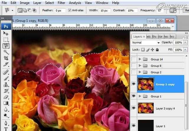 ‘photoshop合成液滴飞溅的新鲜玫瑰花‘