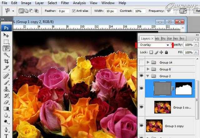 ‘photoshop合成液滴飞溅的新鲜玫瑰花‘