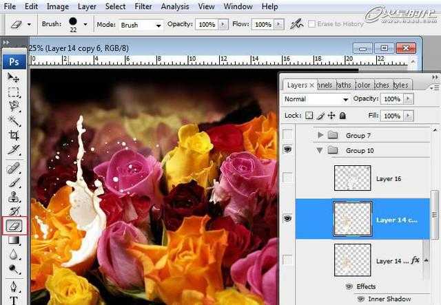 ‘photoshop合成液滴飞溅的新鲜玫瑰花‘