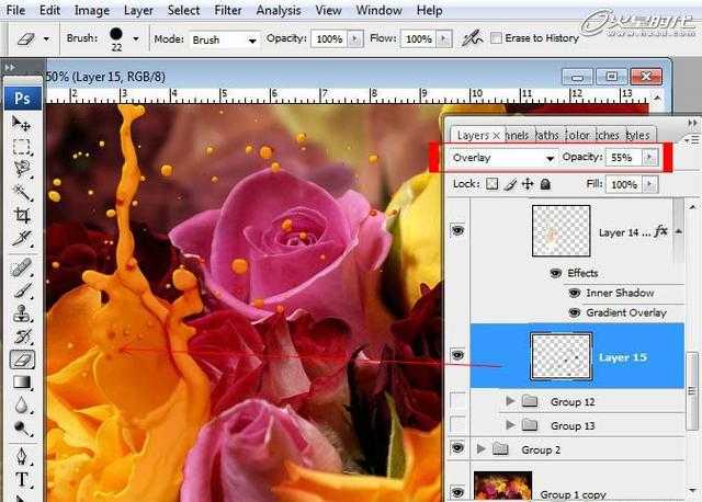 ‘photoshop合成液滴飞溅的新鲜玫瑰花‘