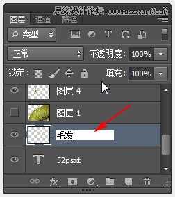 ‘Photoshop制作超酷的猕猴桃3D文字教程‘