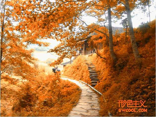 ‘ps下利用通道选区调出风景图片唯美的橙红色‘