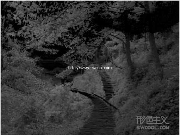 ‘ps下利用通道选区调出风景图片唯美的橙红色‘