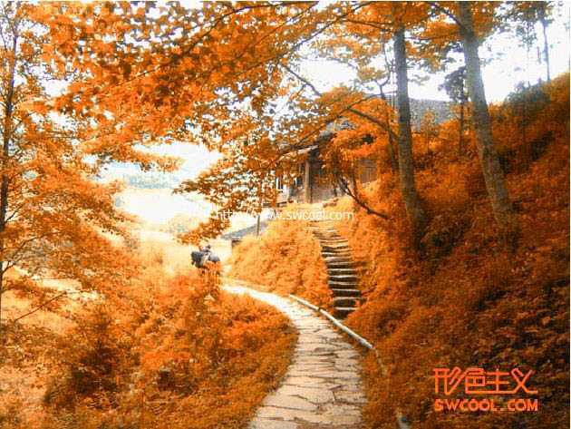 ‘ps下利用通道选区调出风景图片唯美的橙红色‘