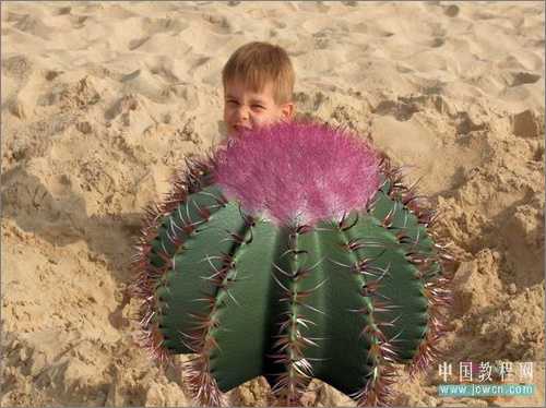 3DS MAX毛发修改器制作逼真仙人球 技术分享