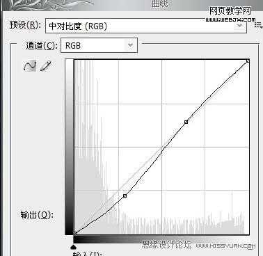 ‘PS调色实例教程：将美女模特调制出中性色调的方法‘