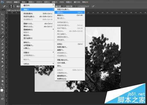 简单快速“通道”抠图—大树