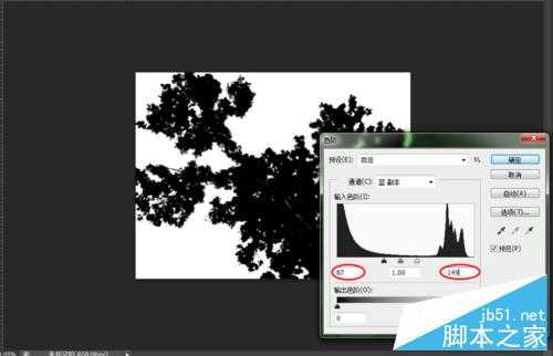 简单快速“通道”抠图—大树