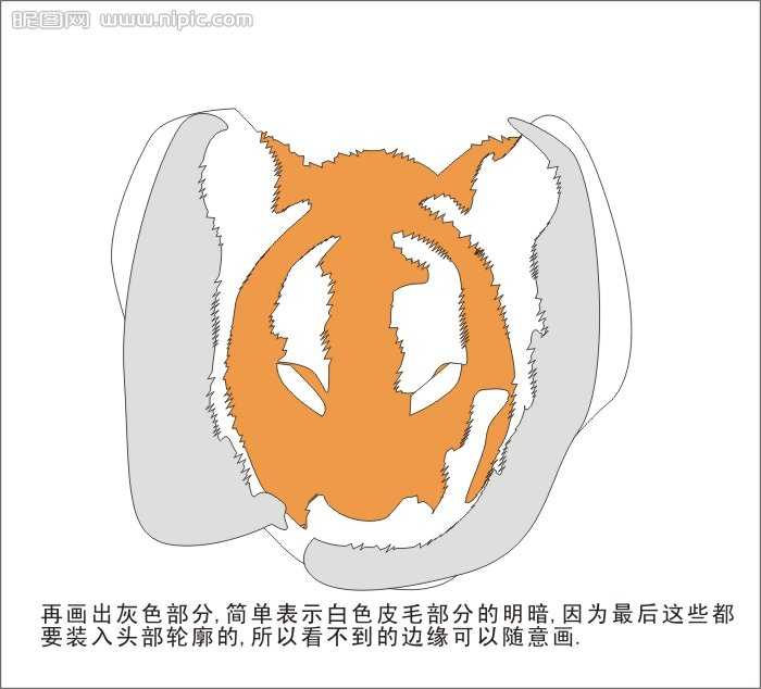 CDR绘制可爱的幼虎 脚本之家 CDR实例教程