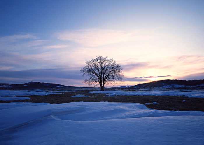 ‘Photoshop将婚片打造出唯美的梦幻冬季雪景效果‘
