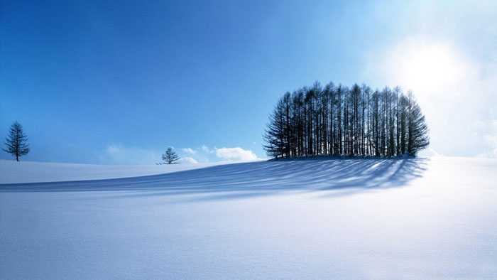 ‘Photoshop将婚片打造出唯美的梦幻冬季雪景效果‘