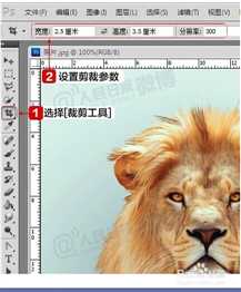 ‘手把手教你用photoshop自制电子版一寸两寸标准照‘