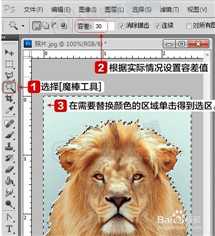 ‘手把手教你用photoshop自制电子版一寸两寸标准照‘