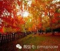‘教你简单实用的PS风光调色的方法‘