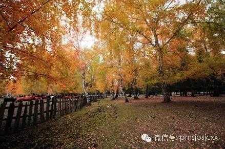 ‘教你简单实用的PS风光调色的方法‘