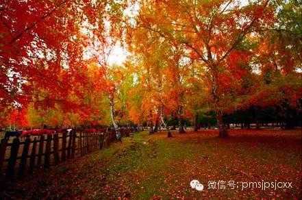 ‘教你简单实用的PS风光调色的方法‘