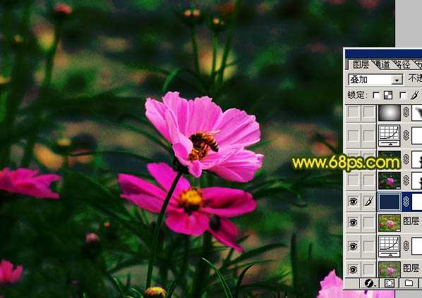 ‘Photoshop