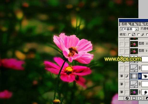 ‘Photoshop