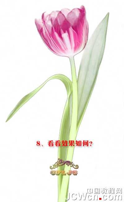 ‘Photoshop利用背景橡皮擦工具抠郁金香‘