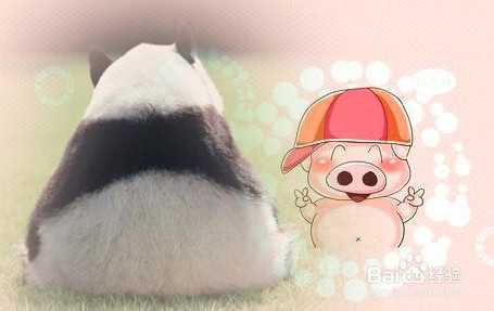 ‘如何用ps溶图?ps怎么快速溶图?‘