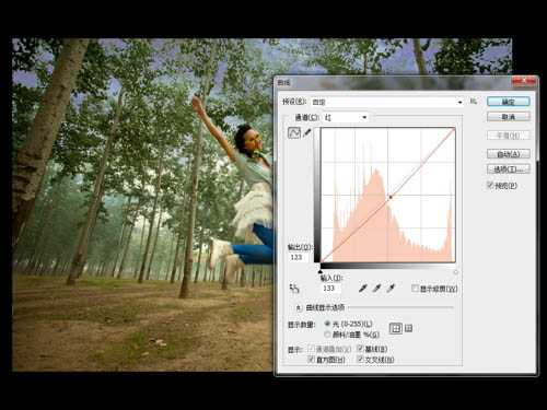 ‘Photoshop将泛白的树林人物图片调制出蓝色天空效果‘