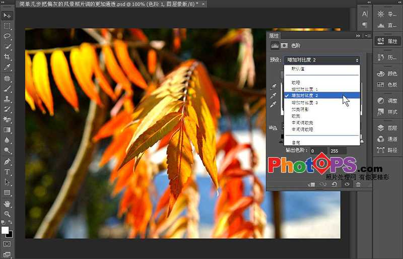 ‘PS快速将偏灰的风景照片调的更加通透‘