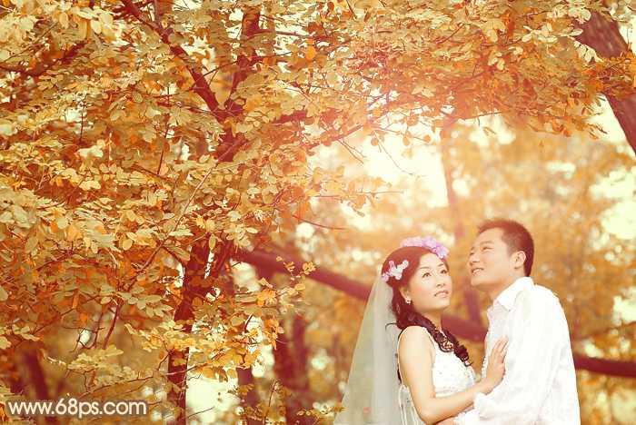 ‘Photoshop将树林婚片打造出柔和温馨的秋季暖色调‘