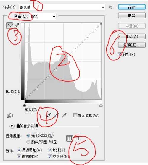 教你了解掌握曲线工具精进细节   脚本之家