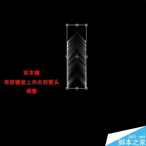‘用ps简单制作漂亮的羽毛扇‘