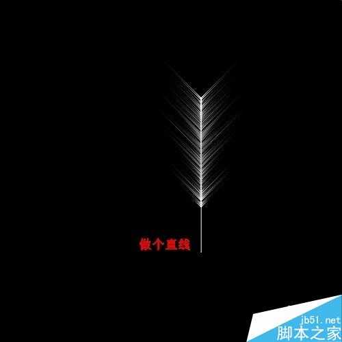 ‘用ps简单制作漂亮的羽毛扇‘